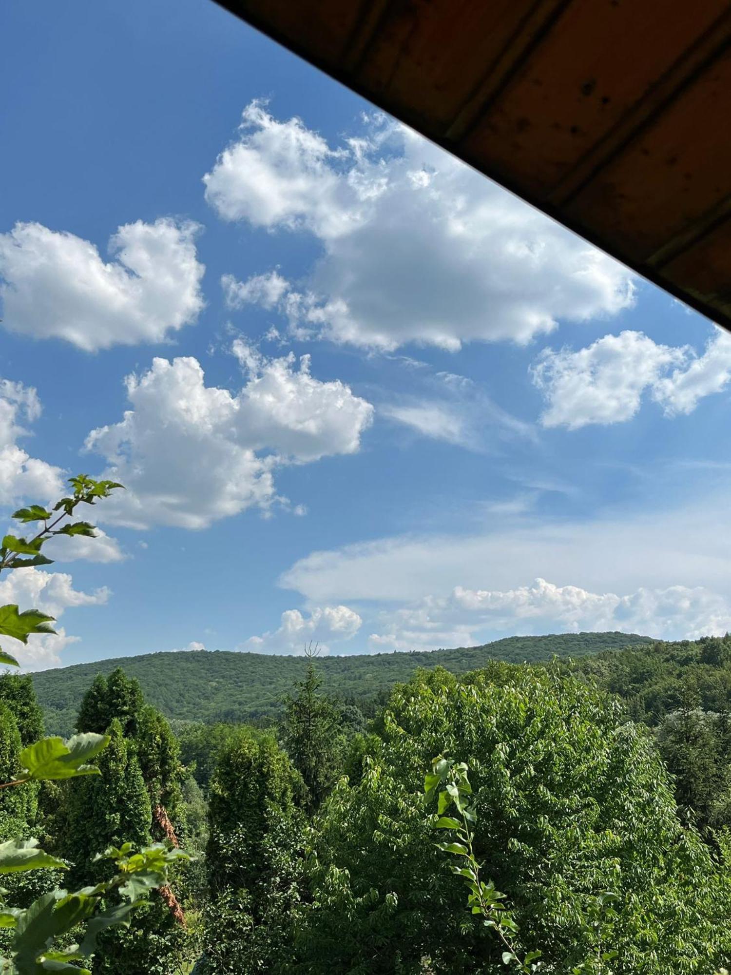 באקאו Maxx Lodge מראה חיצוני תמונה